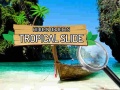 Laro Nakatagong Bagay: Tropical Slide online