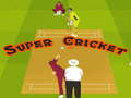 Laro Super Cricket online