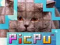 Laro PicPu Pusa online