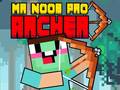 Laro Ginoo Noob Pro Archer online