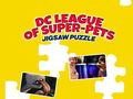 Laro Puzzle ng DC Liga ng mga Super Alaga online