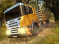 Laro Masyal na Truck Simulator online