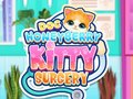 Laro Doktor HoneyBerry Surgical ng Pusa online