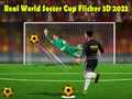 Laro Tunay na World Cup Soccer Flicker 3D 2023 online