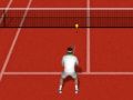Laro Tunay na Tennis online