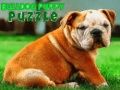 Laro Bulldog Tuta na Puzzle online