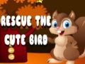 Laro Iligtas ang Cute na Ibon online
