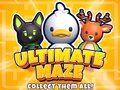 Laro Ultimate Maze! Kolektahin ang Lahat! online