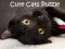 Laro Puzzle ng Cute na Pusa online