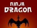 Laro Ninja Dragon online