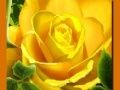 Laro Dilaw na Roses online