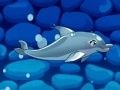 Laro Aking Dolphin Show 5 online