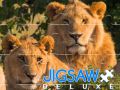 Laro Jigsaw Deluxe online