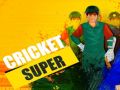 Laro Super Kriket online