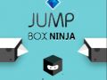 Laro Ninja Jump Box online