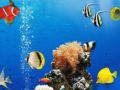 Laro Bawas Marine na Kaibahan online
