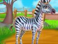 Laro Pag-aalaga sa Zebra online Laro Pag-aalaga sa Zebra online