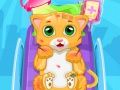 Laro Mali Pusa Doktor online