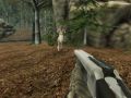 Laro Baliw na Mangangaso ng Kambing online