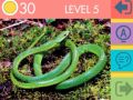 Laro 15 Larawan Kwiz online