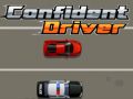 Laro Kumpiyansang Driver online