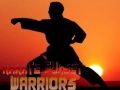 Laro Karate Mandirigma ng Takipsilim online