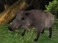 Laro Pangingit ng baboy gubat online