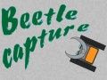 Laro Paghuli ng beetle online