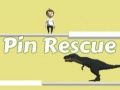 Laro Pagsagip ng Pin online