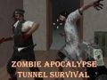 Laro Pagsurvive sa Zombie Apocalypse Tunnel online