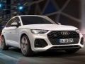 Laro Audi SQ5 TDI Slide online