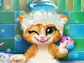 Laro Paliguan ng Rusty Kitten online
