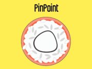 Laro Pinpoint online