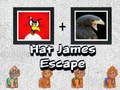 Laro Takas ni James na may Sombrero online