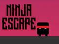 Laro Ninja Tumakas online