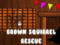 Laro Pagl救 ng Brown Squirrel online