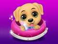 Laro Aking Maliit na Pet Salon online
