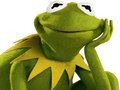 Laro Aklatan ng Pagkulay Para kay Kermit ang Palaka online