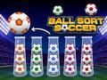 Laro Pag-uuri ng Bola ng Soccer online