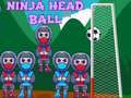 Laro Ninja Ulo Bola online