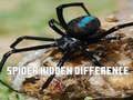 Laro Spider: Hanapin ang pagkakaiba online