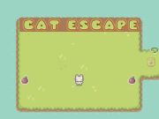 Laro Takas ng Pusa online