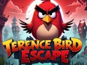 Laro Takas ng Ibon Terence online