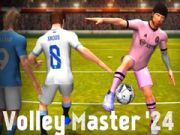 Laro Mahir sa Voley '24 online