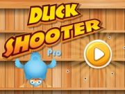 Laro Tagabaril ng Bibe Pro online