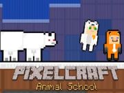 Laro Paaralan ng Mga Hayop PixelCraft online