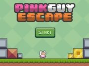 Laro Takas ng Pink na Lalaki online