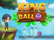 Laro Hari ng Bola online