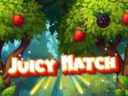 Laro Juicy Match online