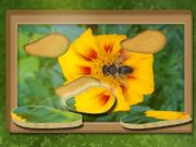 Laro Hanapin at Ibalik: Nakatagong puzzle online